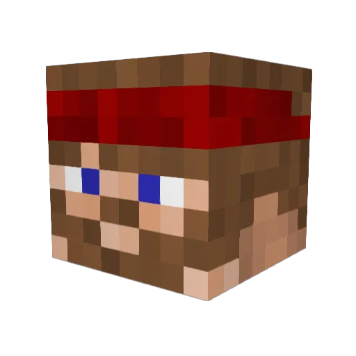 FinaticPanda Minecraft avatar head, 3D render