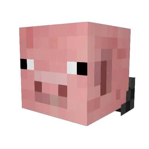 Finb0 Minecraft avatar head, 3D render