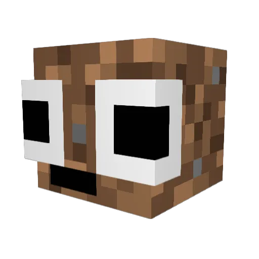 Finboy2 Minecraft avatar head, 3D render