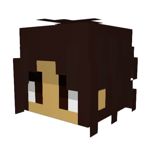 Finch333 Minecraft avatar head, 3D render
