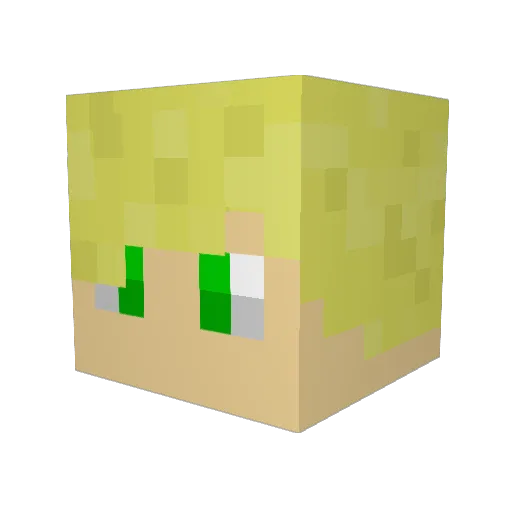 FinchyFri Minecraft avatar head, 3D render