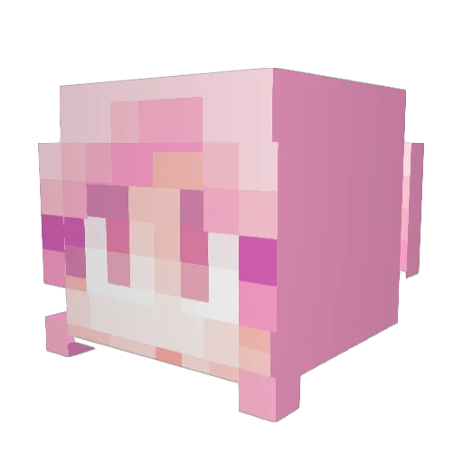 Fincia Minecraft avatar head, 3D render