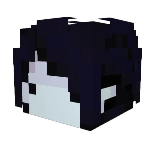 FindFindFind Minecraft avatar head, 3D render
