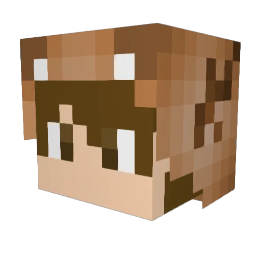 Finda_ Minecraft avatar head, 3D render