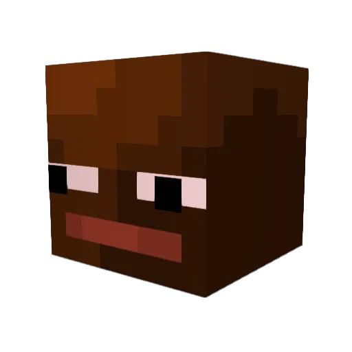 Findalife Minecraft avatar head, 3D render