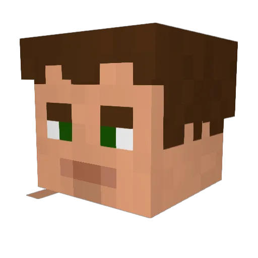 FindbetaNO Minecraft avatar head, 3D render