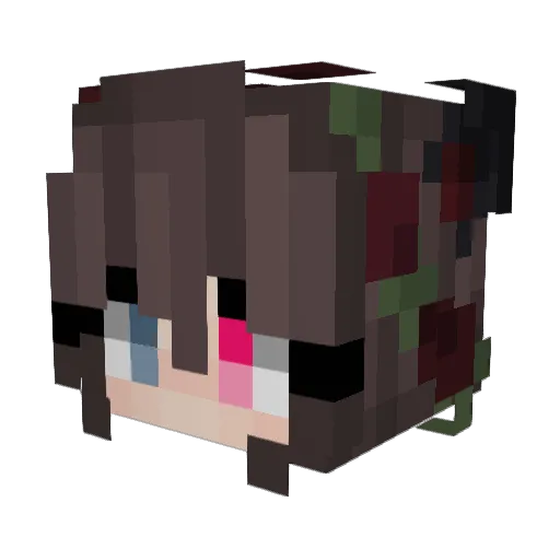 FinddreamwenIAM Minecraft avatar head, 3D render