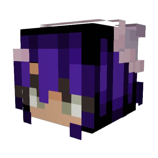 Finding_Tara Minecraft avatar head, 3D render