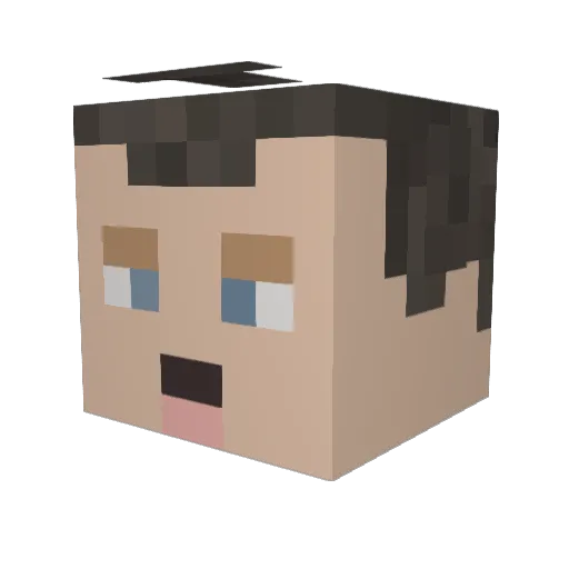 Findingadam Minecraft avatar head, 3D render