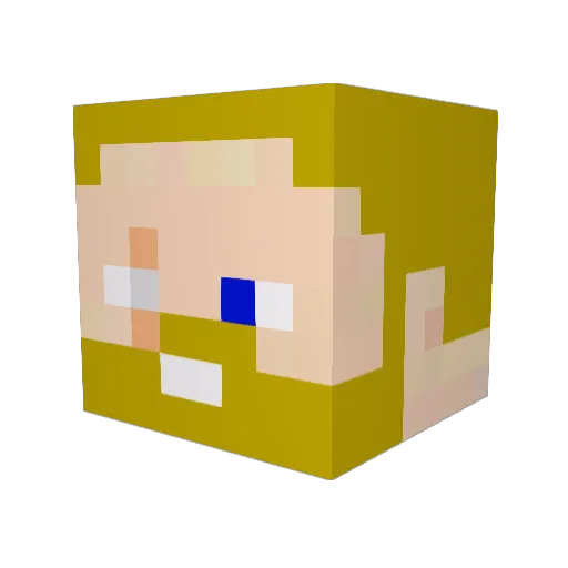 Findus1407 Minecraft avatar head, 3D render