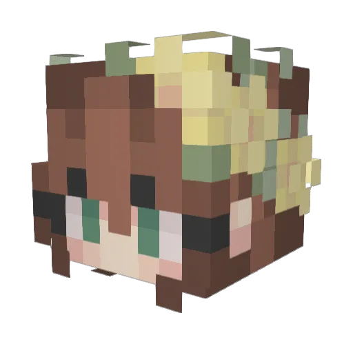 FineBiene889 Minecraft avatar head, 3D render