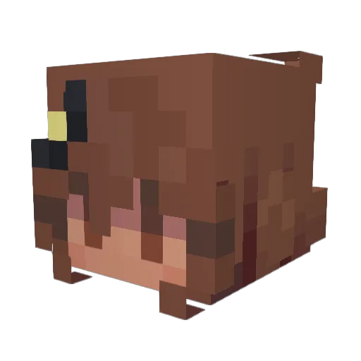 FineBird Minecraft avatar head, 3D render