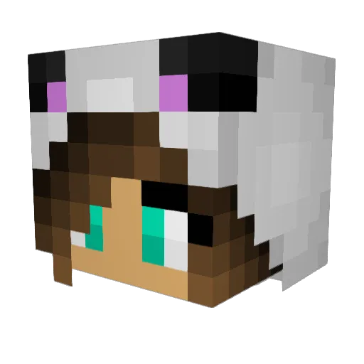 FineNights Minecraft avatar head, 3D render