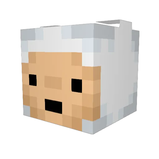Fine_stein Minecraft avatar head, 3D render