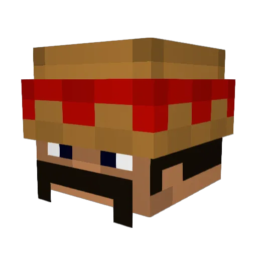 FineganTF2 Minecraft avatar head, 3D render