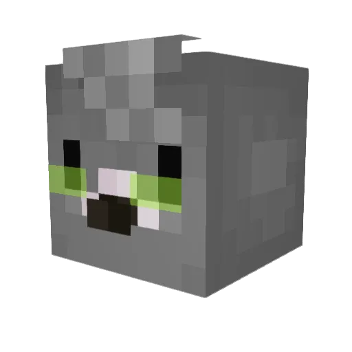FinelCountDan Minecraft avatar head, 3D render