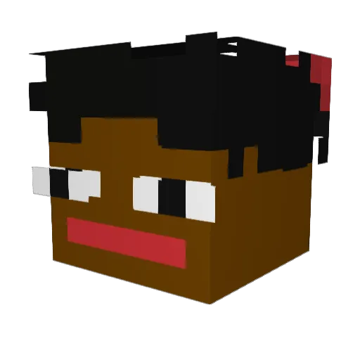 FinesMorsEst Minecraft avatar head, 3D render