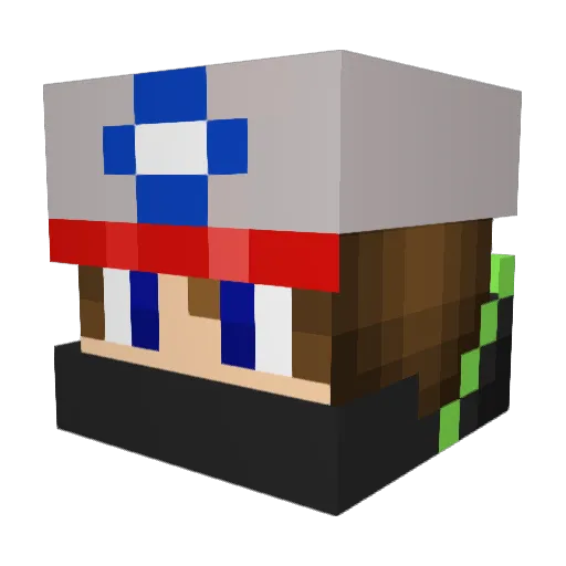FinesseSwan Minecraft avatar head, 3D render
