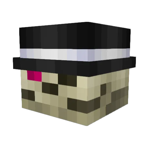 Finfinite_Gamer Minecraft avatar head, 3D render
