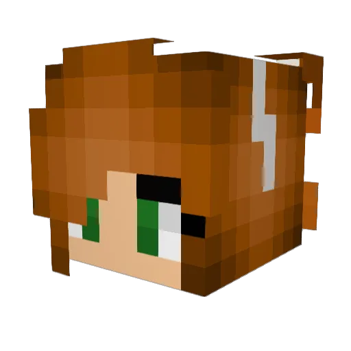 Finger_Chips Minecraft avatar head, 3D render