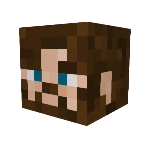 Fingledingleton Minecraft avatar head, 3D render