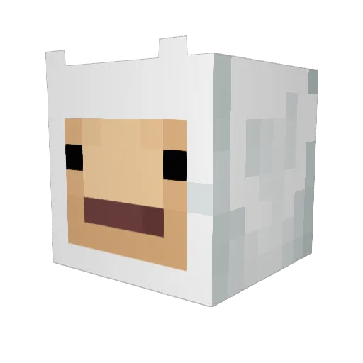 Fingon286 Minecraft avatar head, 3D render