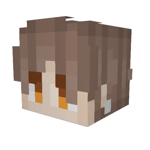 Finian8 Minecraft avatar head, 3D render