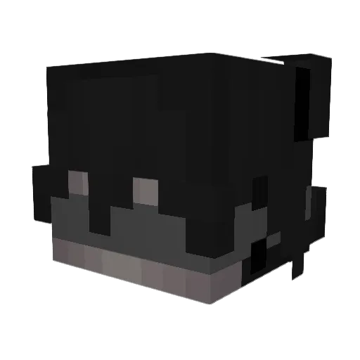 Fininho26vis Minecraft avatar head, 3D render