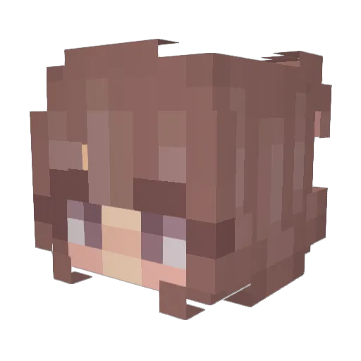 Finio3008 Minecraft avatar head, 3D render