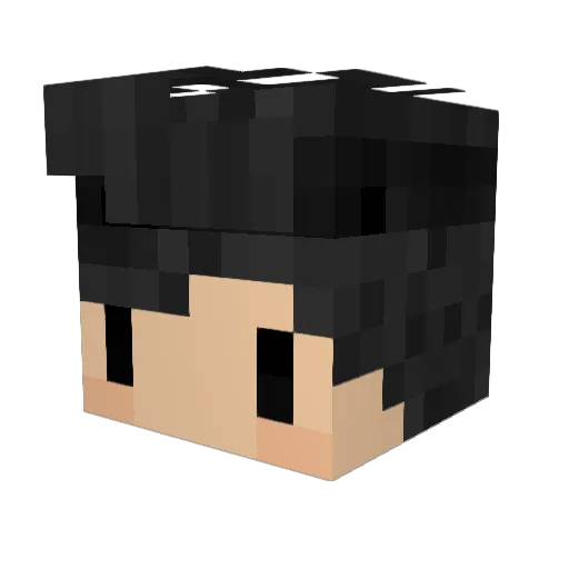 Finixey Minecraft avatar head, 3D render