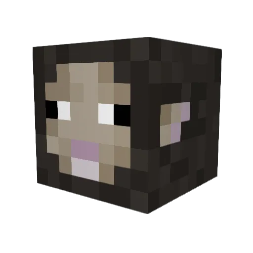 Finixgamer Minecraft avatar head, 3D render