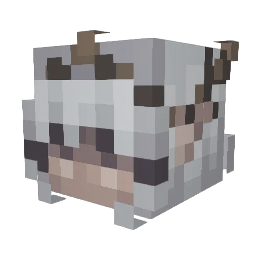 Finjao Minecraft avatar head, 3D render