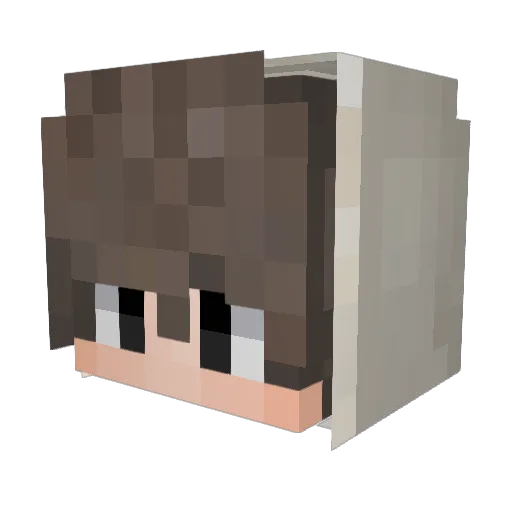 Finjie Minecraft avatar head, 3D render