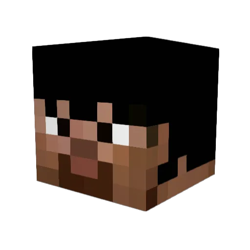 Finklestink Minecraft avatar head, 3D render