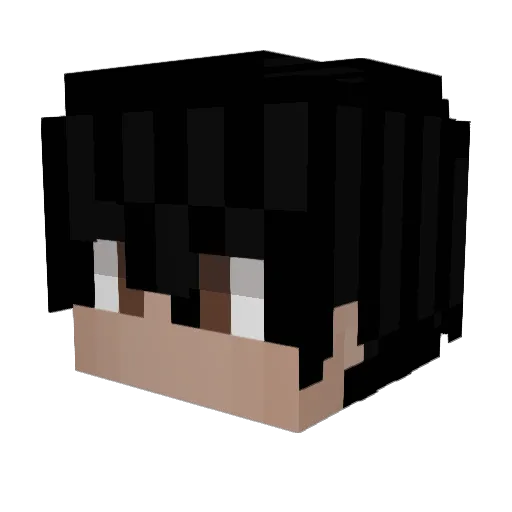 Finlay161 Minecraft avatar head, 3D render