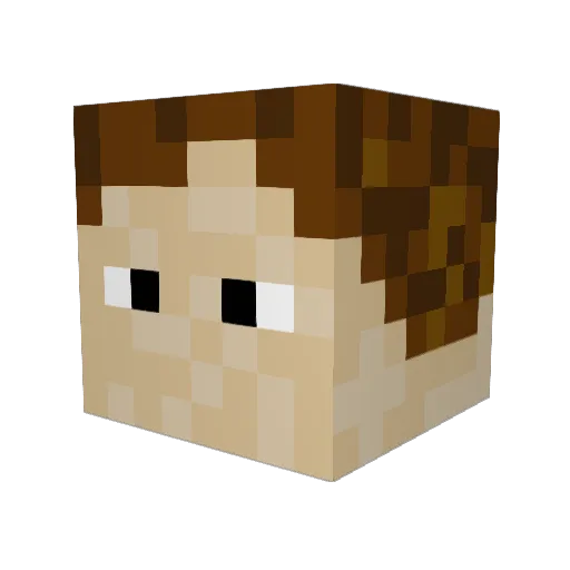 Finley0805 Minecraft avatar head, 3D render