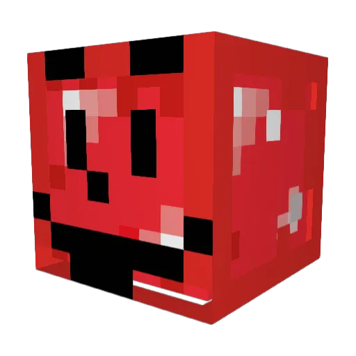 Finley6351 Minecraft avatar head, 3D render