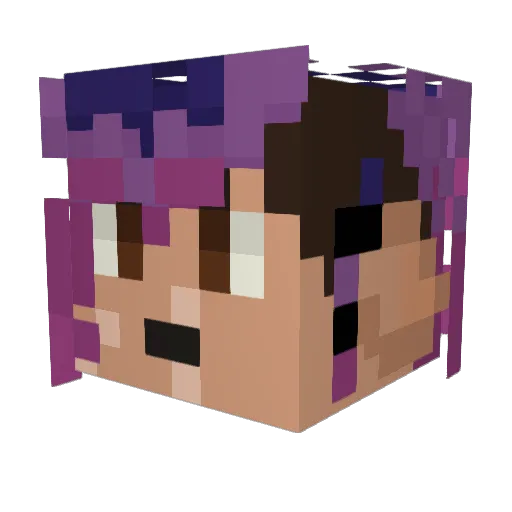 FinleyMgee Minecraft avatar head, 3D render