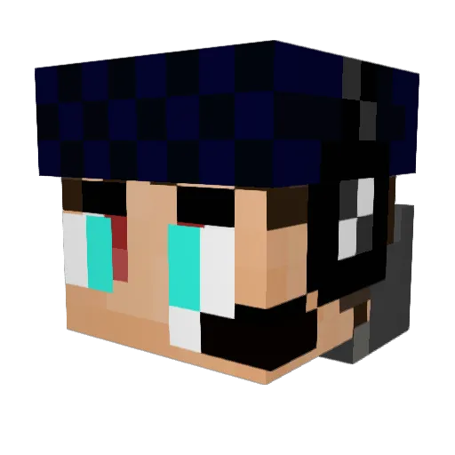 Finlog1234 Minecraft avatar head, 3D render