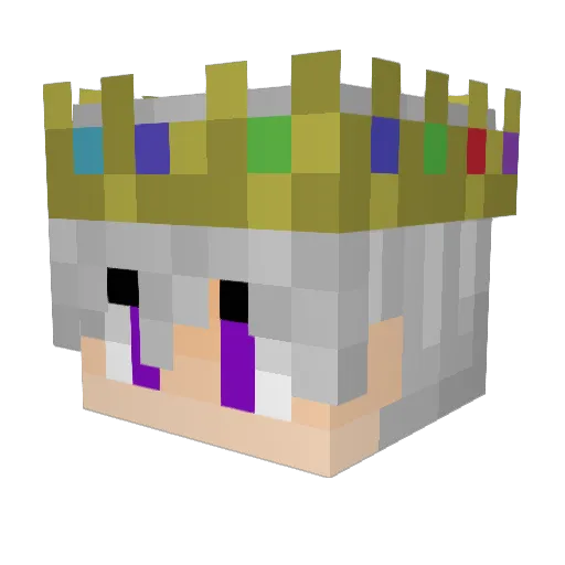 Finn011 Minecraft avatar head, 3D render