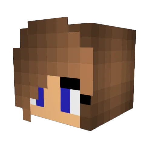 Finn080711 Minecraft avatar head, 3D render