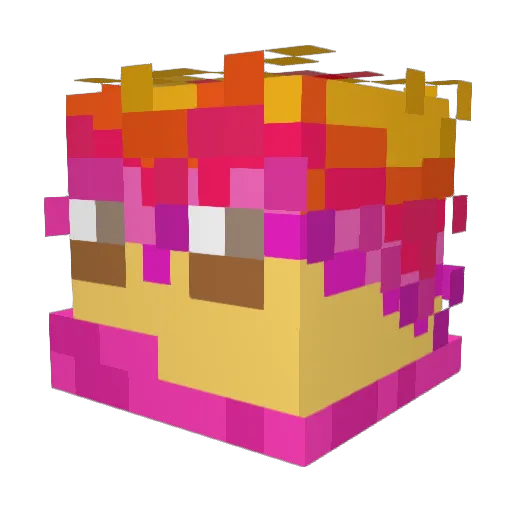 Finn100512 Minecraft avatar head, 3D render