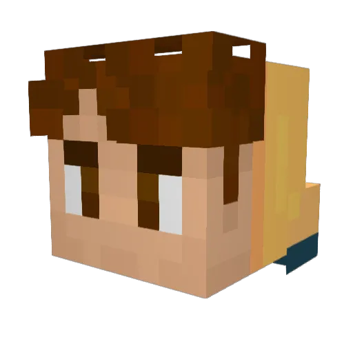 Finn1sher Minecraft avatar head, 3D render