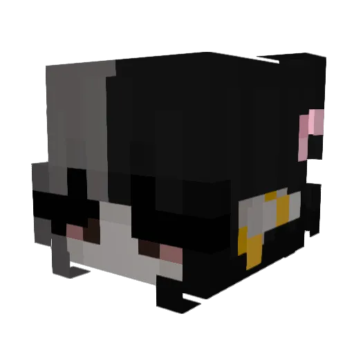 Finn2112q Minecraft avatar head, 3D render