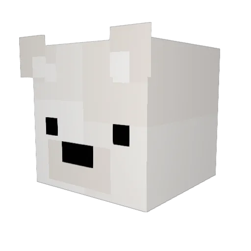Finn230500 Minecraft avatar head, 3D render