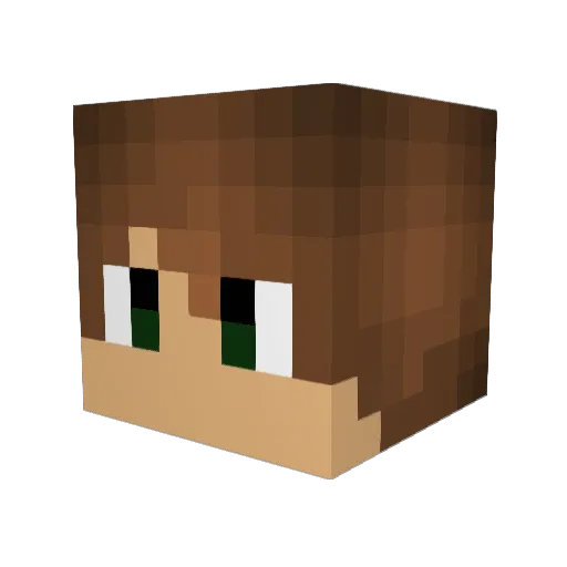 Finn2506 Minecraft avatar head, 3D render