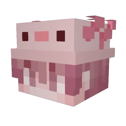 Finn3y Minecraft avatar head, 3D render