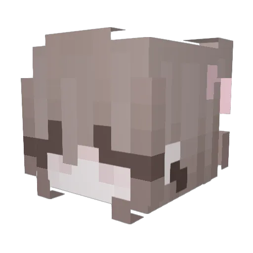Finn7869 Minecraft avatar head, 3D render