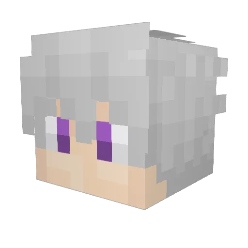 Finn805er Minecraft avatar head, 3D render