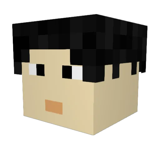 FinnA1999 Minecraft avatar head, 3D render